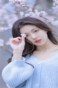 全集小说花昭叶深免费阅读