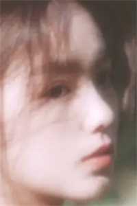 优质全文褚恺姜虞是什么小说