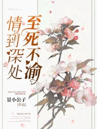 全文阅读钟钦屹皮安彻
