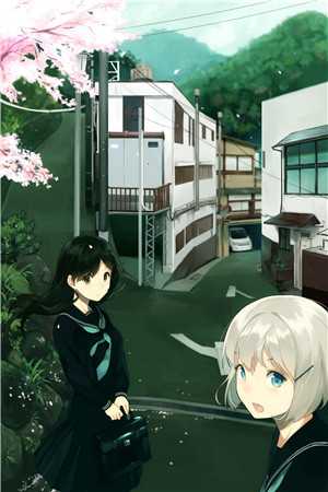 精品篇冲天白菜