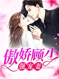 全文小说厨师特级证
