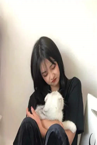 徐宴路念婉优质全文阅读