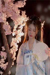 九龙无敌天下全本小说阅读