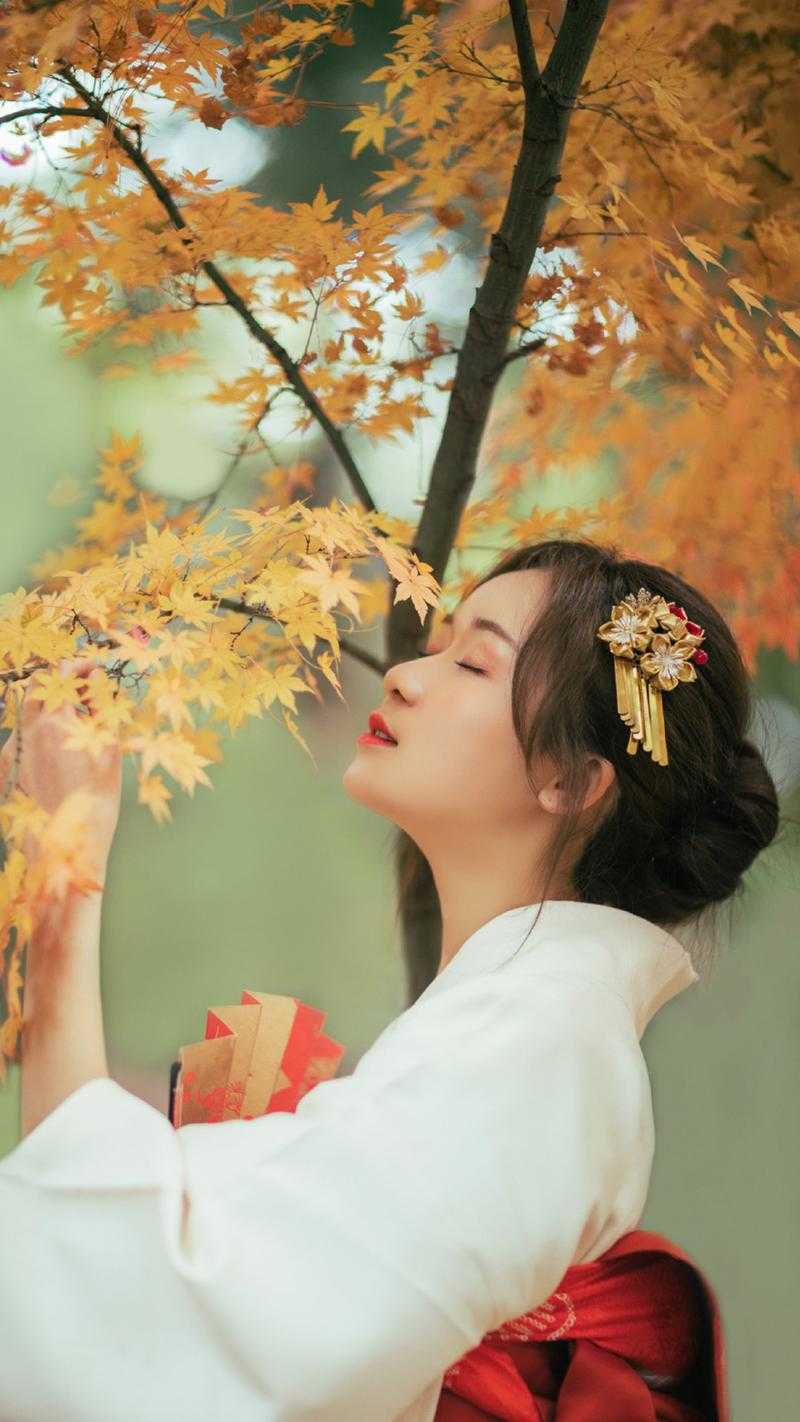 全本阅读龙啸花都