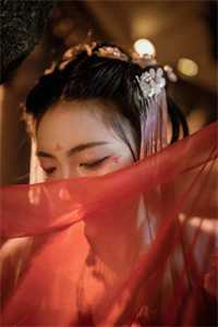 前妻太飒，霍总高攀不上全本阅读