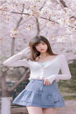 畅读精品让我做恶事，给女主们分配系统是吧