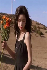 完整文本阅读让我做恶事,给女主们分配系统是吧