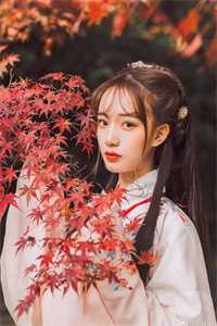 让我做恶事，给女主们分配系统是吧全集小说阅读
