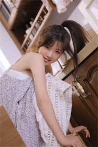 相遇藏于夏