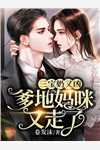 追回夫人后，疯批他宠妻上瘾