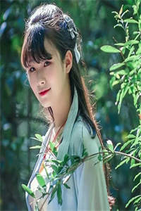 上门龙婿