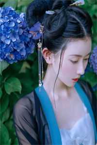 菊风徐袭