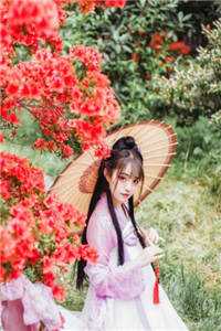 藏师：天下寻宝