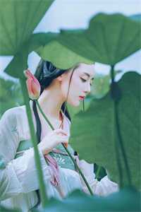 重生朱元璋和马皇后双胞嫡孙