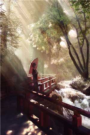天帝:我永铸圣躯