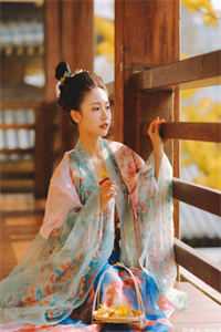 宝可梦之崩坏