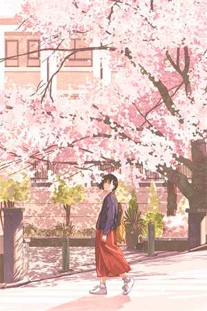 藏师：天下寻宝