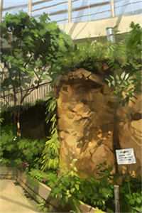 真相曝光后,清冷校花跪求我原谅小说
