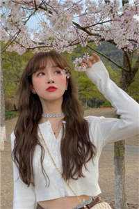 异域美人在冷王心尖撩火