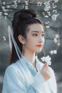 大明锦绣