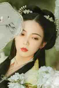 盛宠毒女