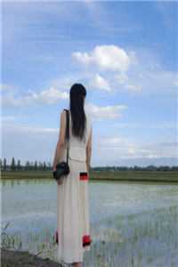 重生五零，离婚后带娃闯香江