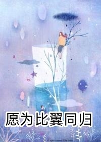 沈瑶初高禹川大结局