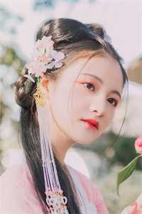 傅今安洛染的小说免费