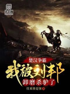你们都追女主那女魔头我娶走了在线