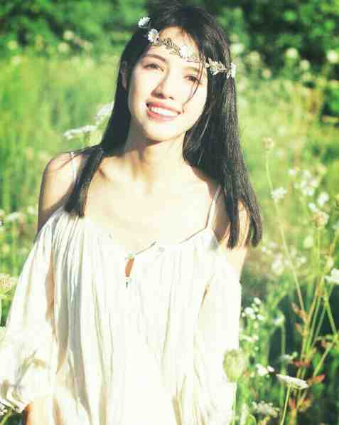 与风谋