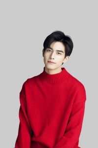我死后总裁疯了李小秋免费阅读全文