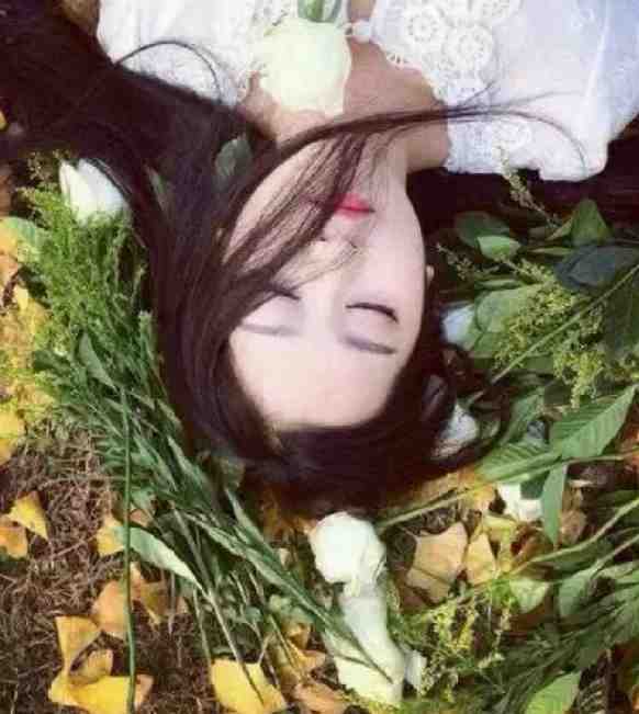 亡国妖妃，我真不是故意当祸水畅读全文版