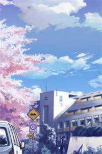 综影视：淼淼奇妙之旅优秀文集