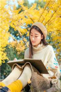 热门作品离婚两年，霸总开启追妻之旅