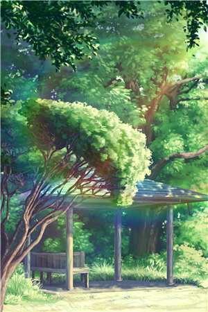 太阳照不到的地方阅读全集