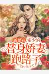 精选全文夜先生，苏小姐从缅北杀回来了