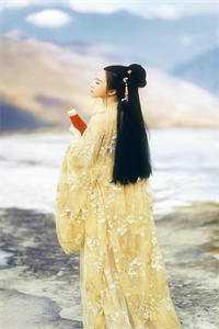我，琅琊阁主，发现老婆是女帝全文浏览