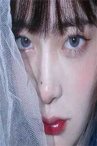 夜先生，苏小姐从缅北杀回来了全本小说阅读