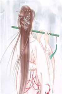畅销巨作武门小贵女