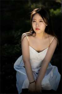 顾总今天又被离婚了完整文集