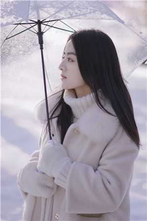 拯救大明从拒绝就藩开始