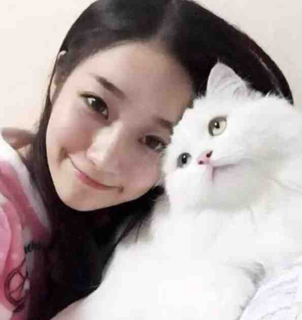 蛇灵符仙