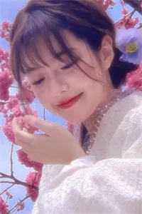 嫡女二嫁