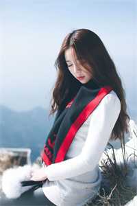 杨凌刘备全本小说