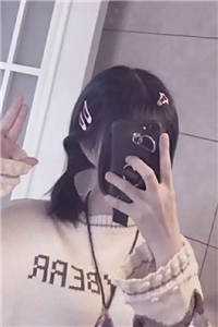 黑虎97的新书杨家将新传