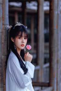 夫人挂帅出征将军沉迷宅斗