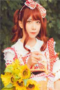 大赢败家子