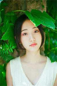 苏薇陆辞