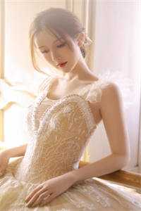 晚景无星陈晚林闻景小说