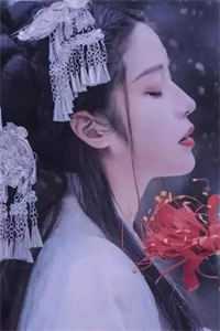 后宫双姝官儿安嫔后续+完结